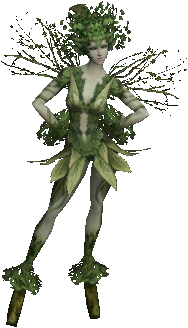 Dryad Elder