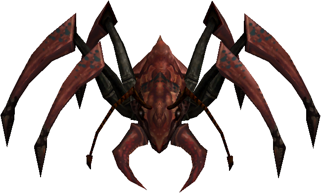 Ant Recruit