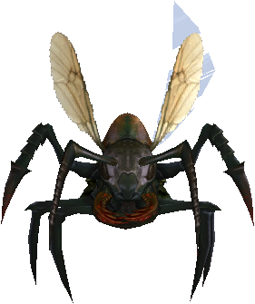Noble Ant