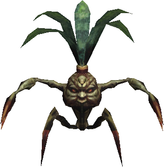 Mandragora Sprout