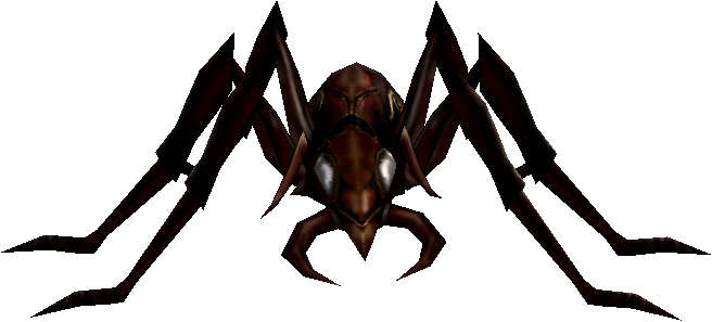 Gray Ant