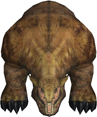 Brown Bear