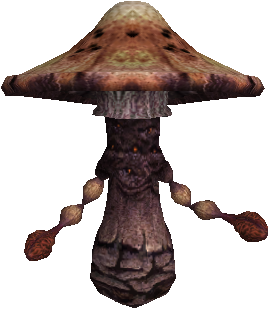 Mountain Fungus