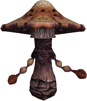 Giant Fungus