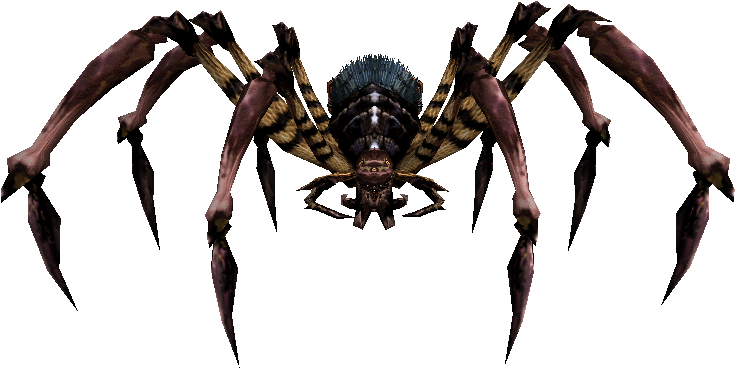 King of the Araneid