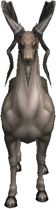Antelope