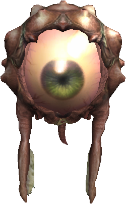 Eye of Guide