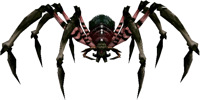 Spelunking Spider