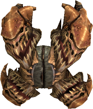 Elder Lost Watcher