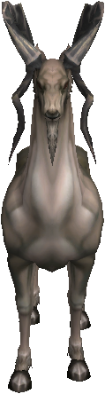 Pronghorn