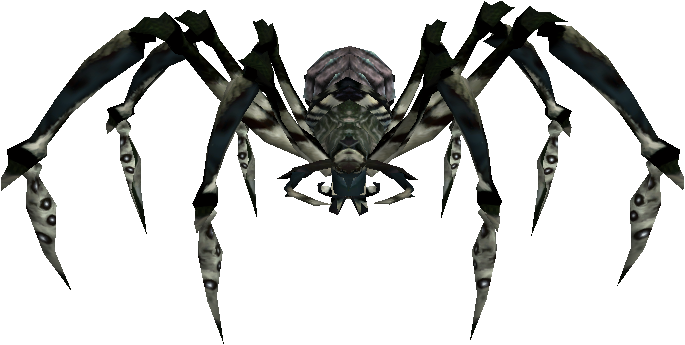 Frost Tarantula