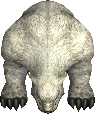Ursus